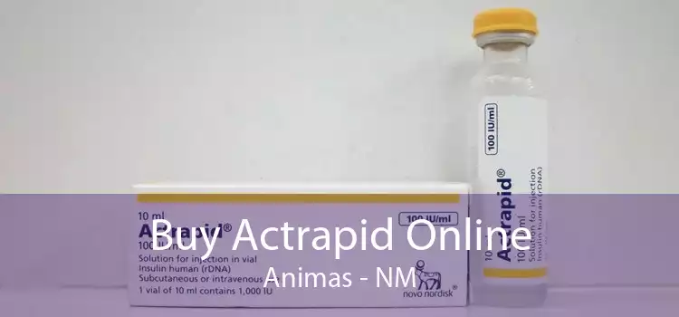 Buy Actrapid Online Animas - NM