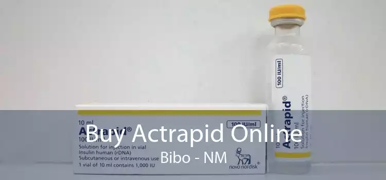 Buy Actrapid Online Bibo - NM