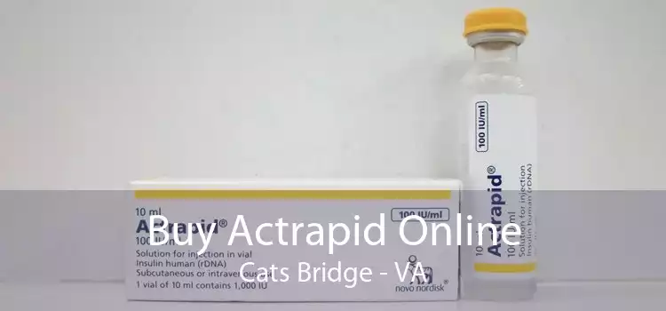 Buy Actrapid Online Cats Bridge - VA